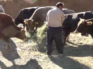 Besiciler Sorunlarını Dile Getiriyor 05