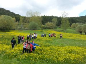 Gencler artisi ve eksisi ile Cubuk'u degerlendiriyor