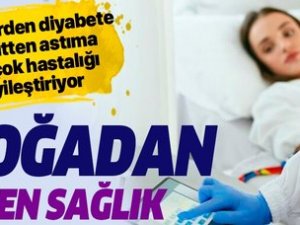 DevaPark'ta Ozon Tedavisi Başladı