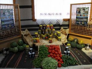 9.TURŞU VE KÜLTÜR FESTİVALİ