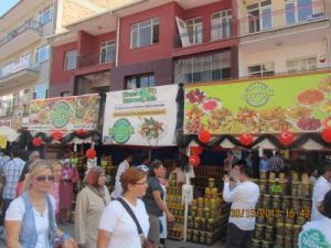STV HABER ÇUBUK TURŞU FESTİVALİ 2013