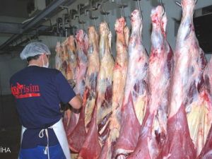 Girişim Entegre Et A.Ş. Kurbanlık Satışlarına Başladı