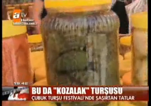 KOZALAK TURŞUSU